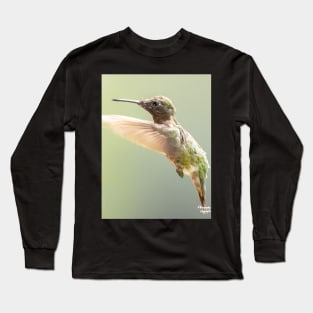 Ruby-throated Hummingbird in flight Long Sleeve T-Shirt